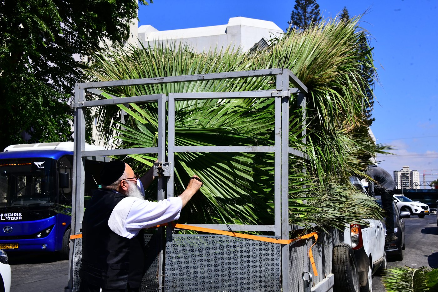 הכנות לחג הסוכות בבני ברק