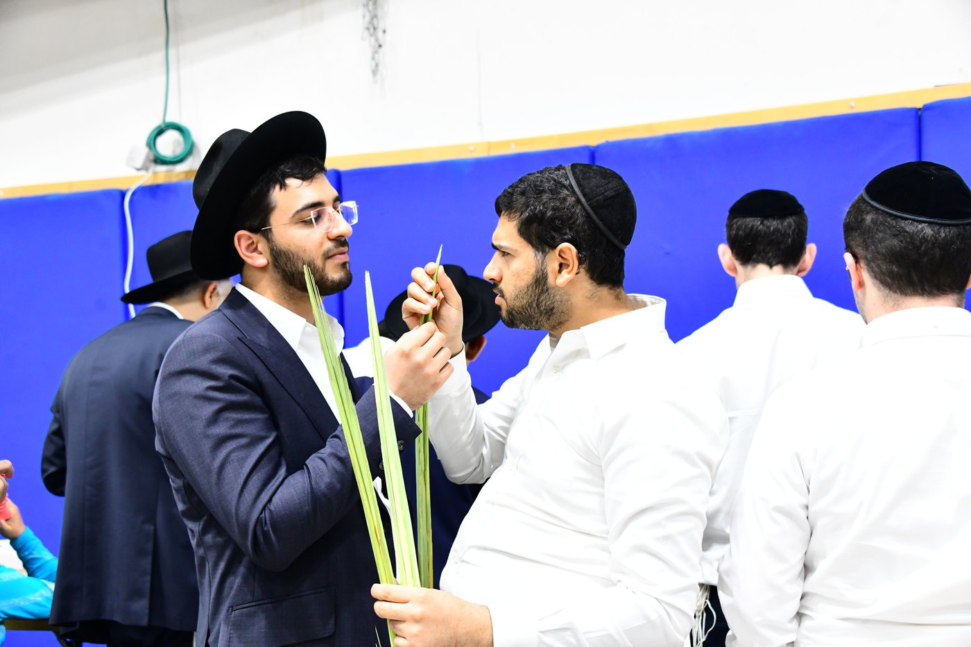 הכנות לחג הסוכות בבני ברק