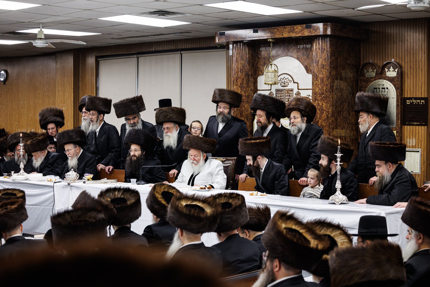 טיש ערב יום הכיפורים בצל האדמו"ר מבאבוב שליט"א | צילום: אחים לאנטשעווסקי