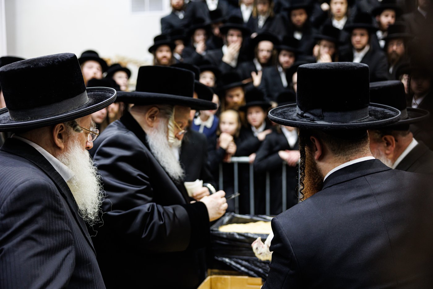 האדמו"ר מבאבוב שליט"א במנהג כפרות | צילום: אחים לאנטשעווסקי