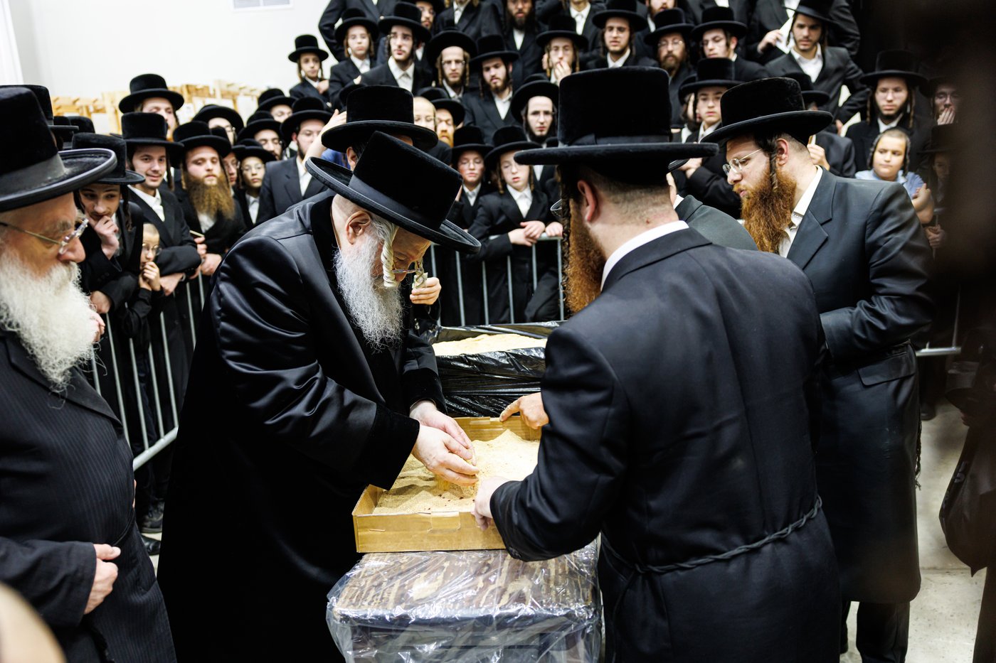 האדמו"ר מבאבוב שליט"א במנהג כפרות | צילום: אחים לאנטשעווסקי