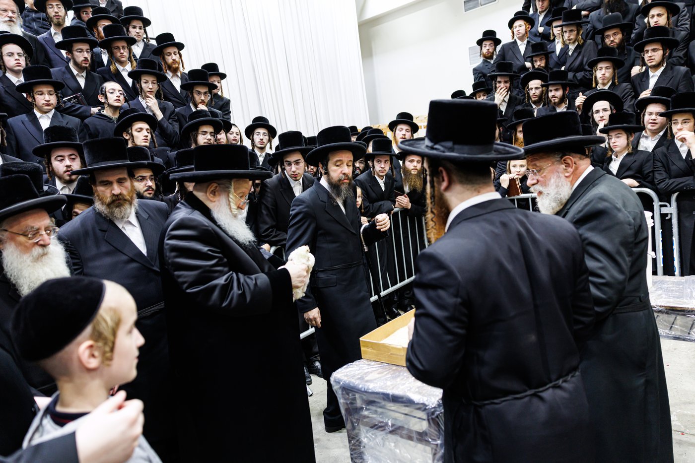 האדמו"ר מבאבוב שליט"א במנהג כפרות | צילום: אחים לאנטשעווסקי