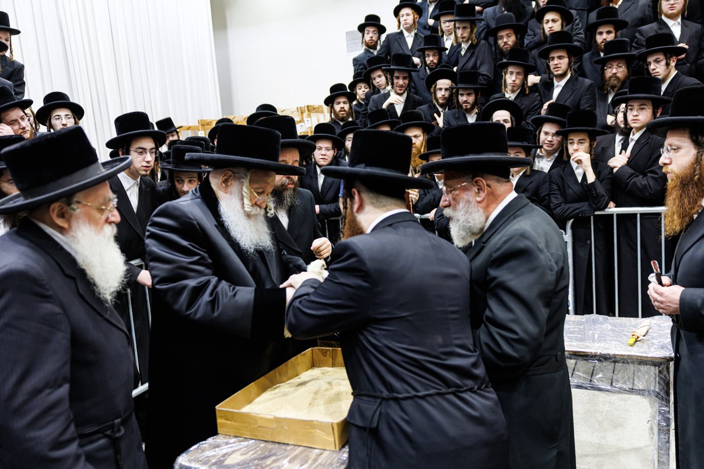 האדמו"ר מבאבוב שליט"א במנהג כפרות | צילום: אחים לאנטשעווסקי
