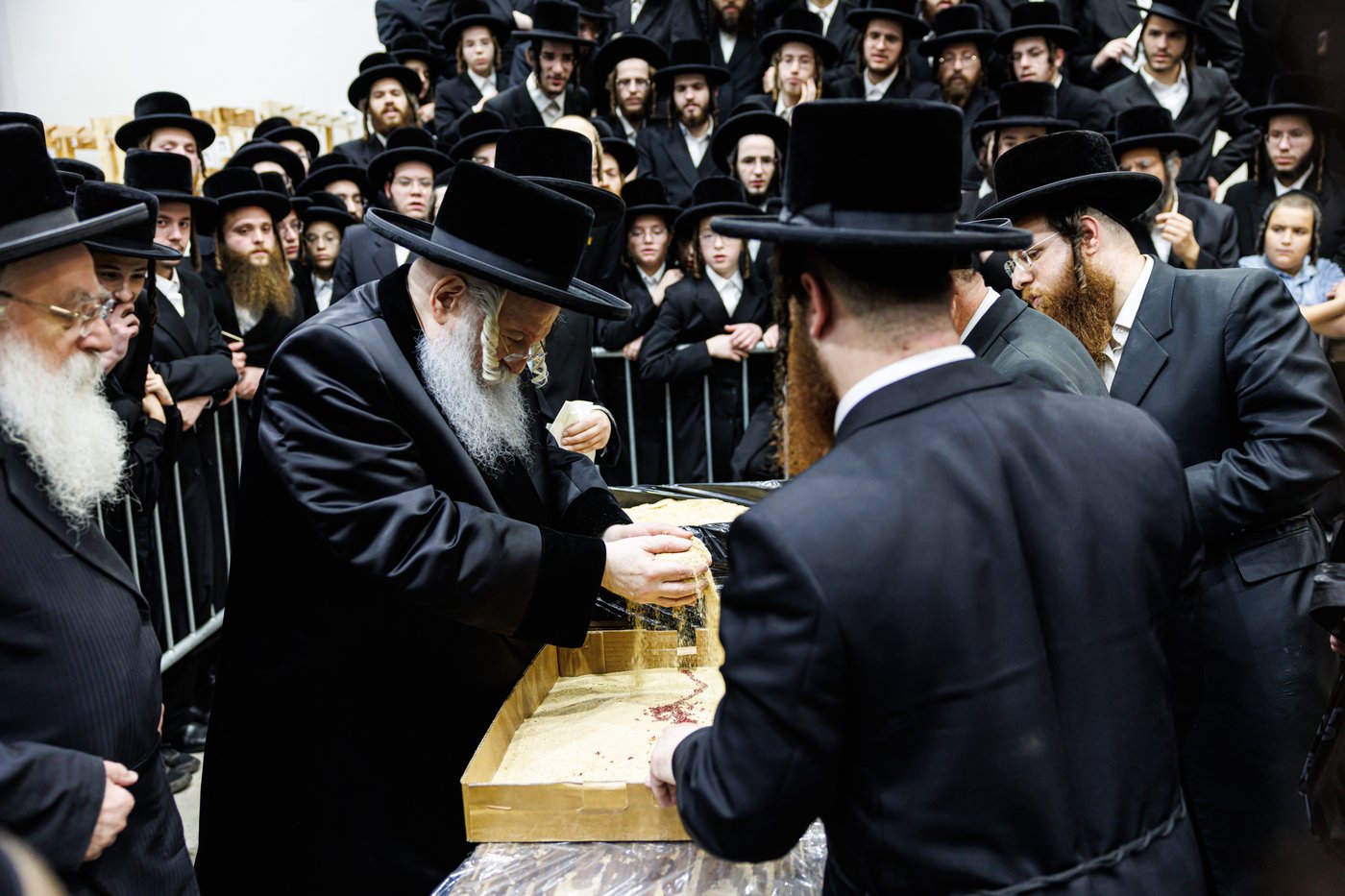 האדמו"ר מבאבוב שליט"א במנהג כפרות | צילום: אחים לאנטשעווסקי