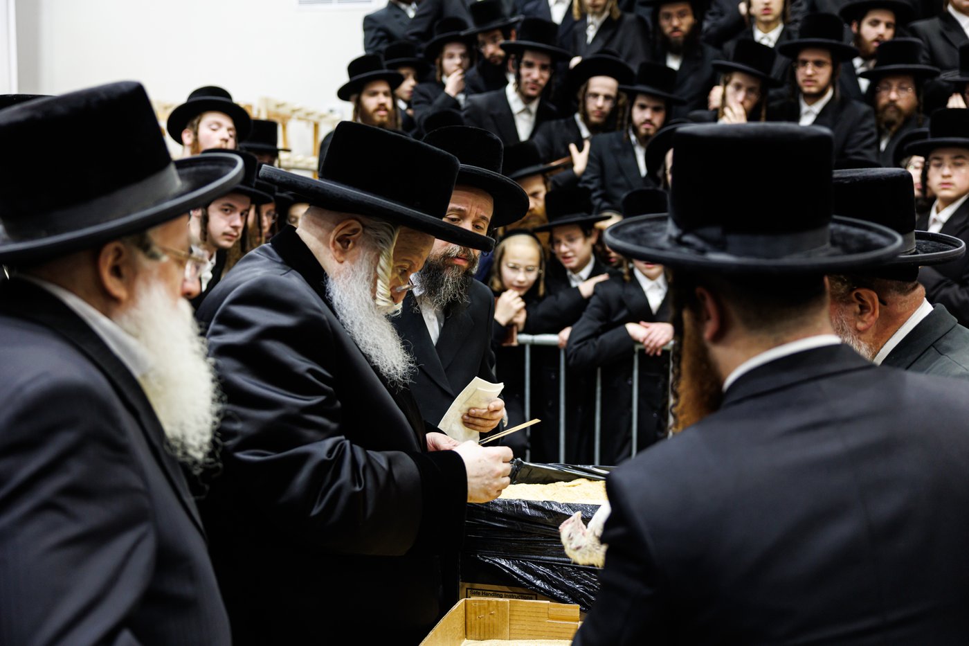 האדמו"ר מבאבוב שליט"א במנהג כפרות | צילום: אחים לאנטשעווסקי