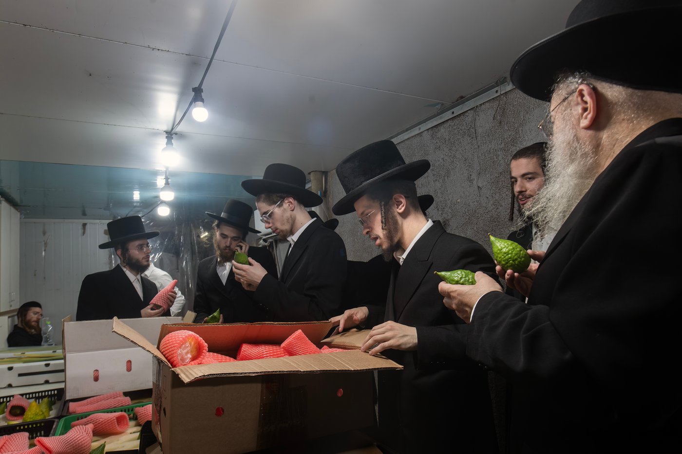 דוכני ארבעת המינים בבני ברק