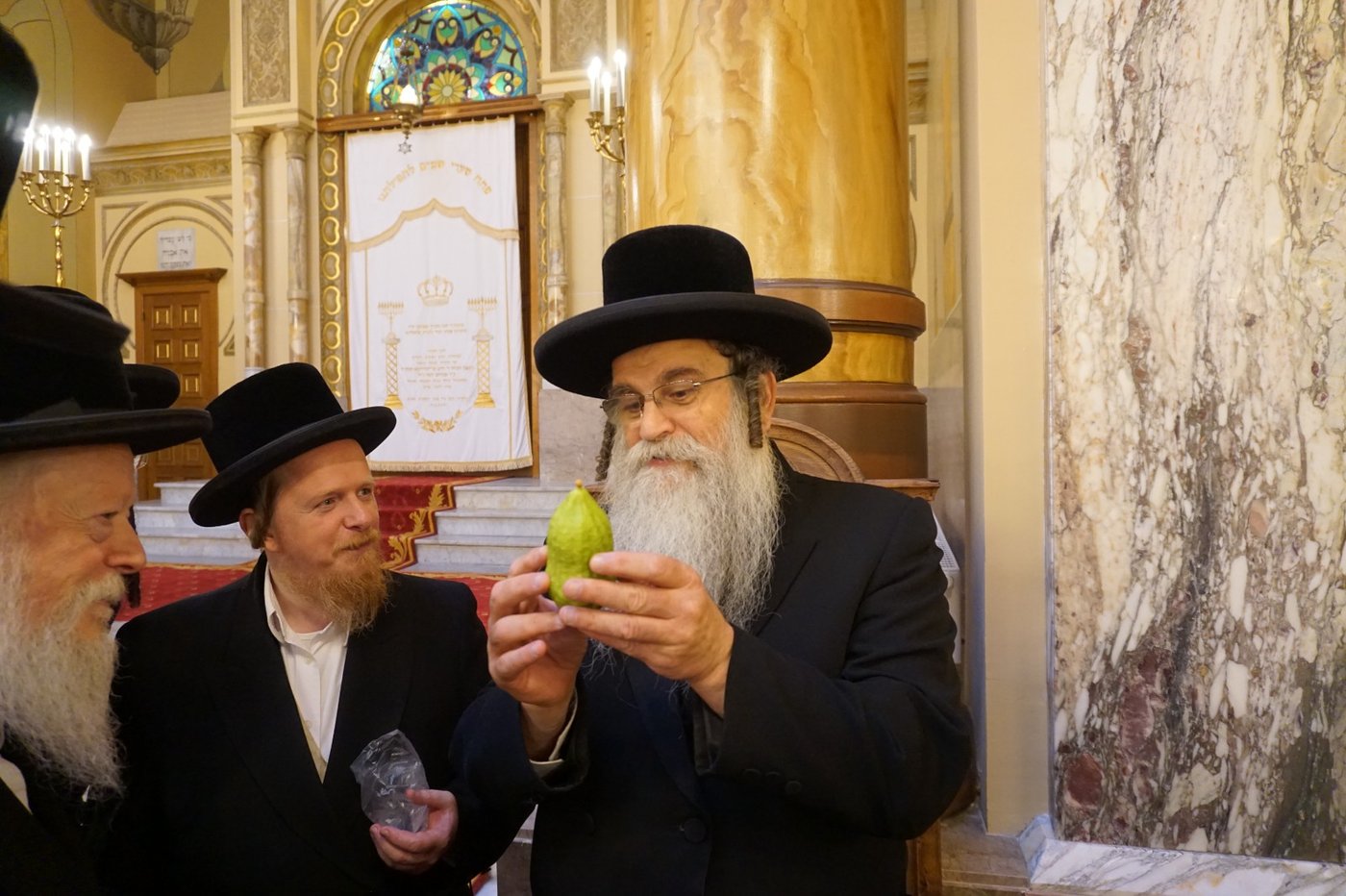 הגאב"ד שליט"א בבדיקת אתרוג | צילום: באדיבות המצלם