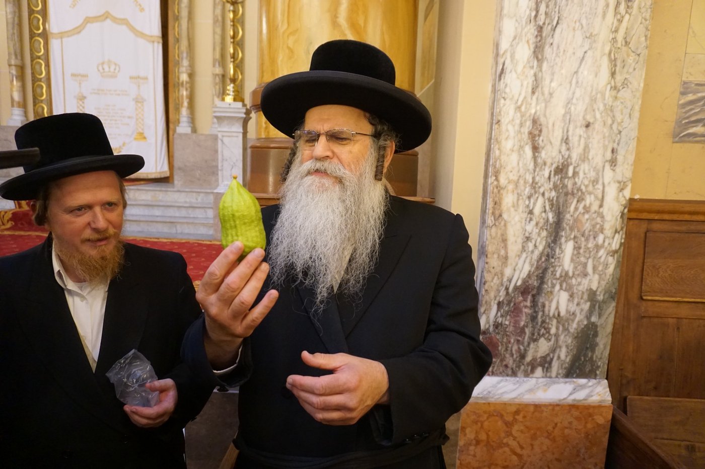 הגאב"ד שליט"א בבדיקת אתרוג | צילום: באדיבות המצלם