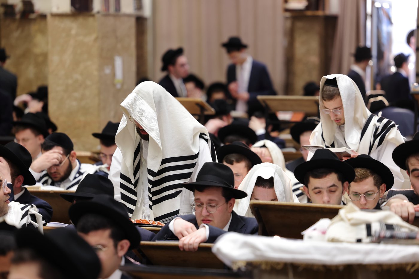 תפילת כל נדרי בישיבת פוניבז' | צילום: יעקב נחומי