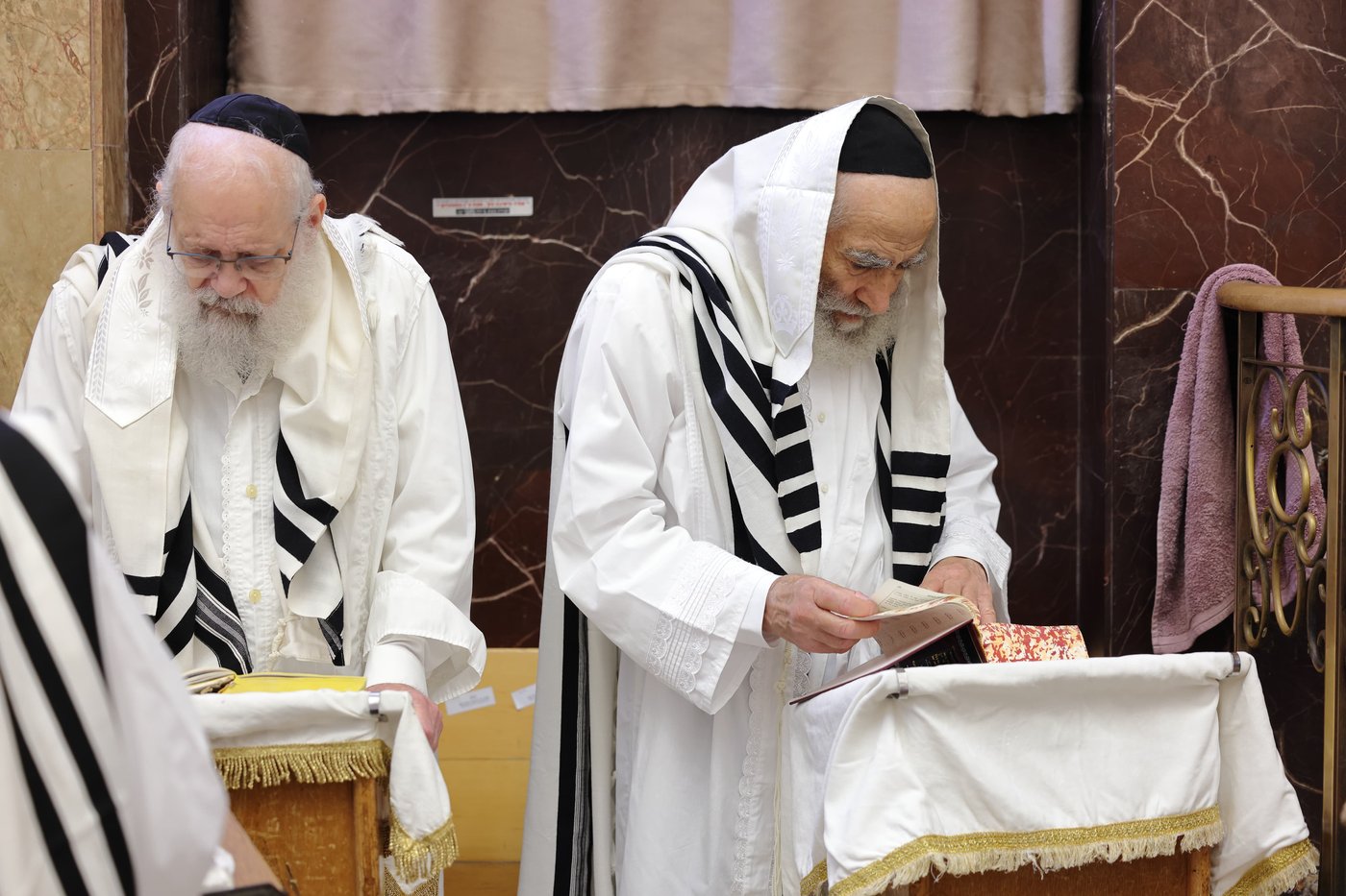 תפילת כל נדרי בישיבת פוניבז' | צילום: יעקב נחומי