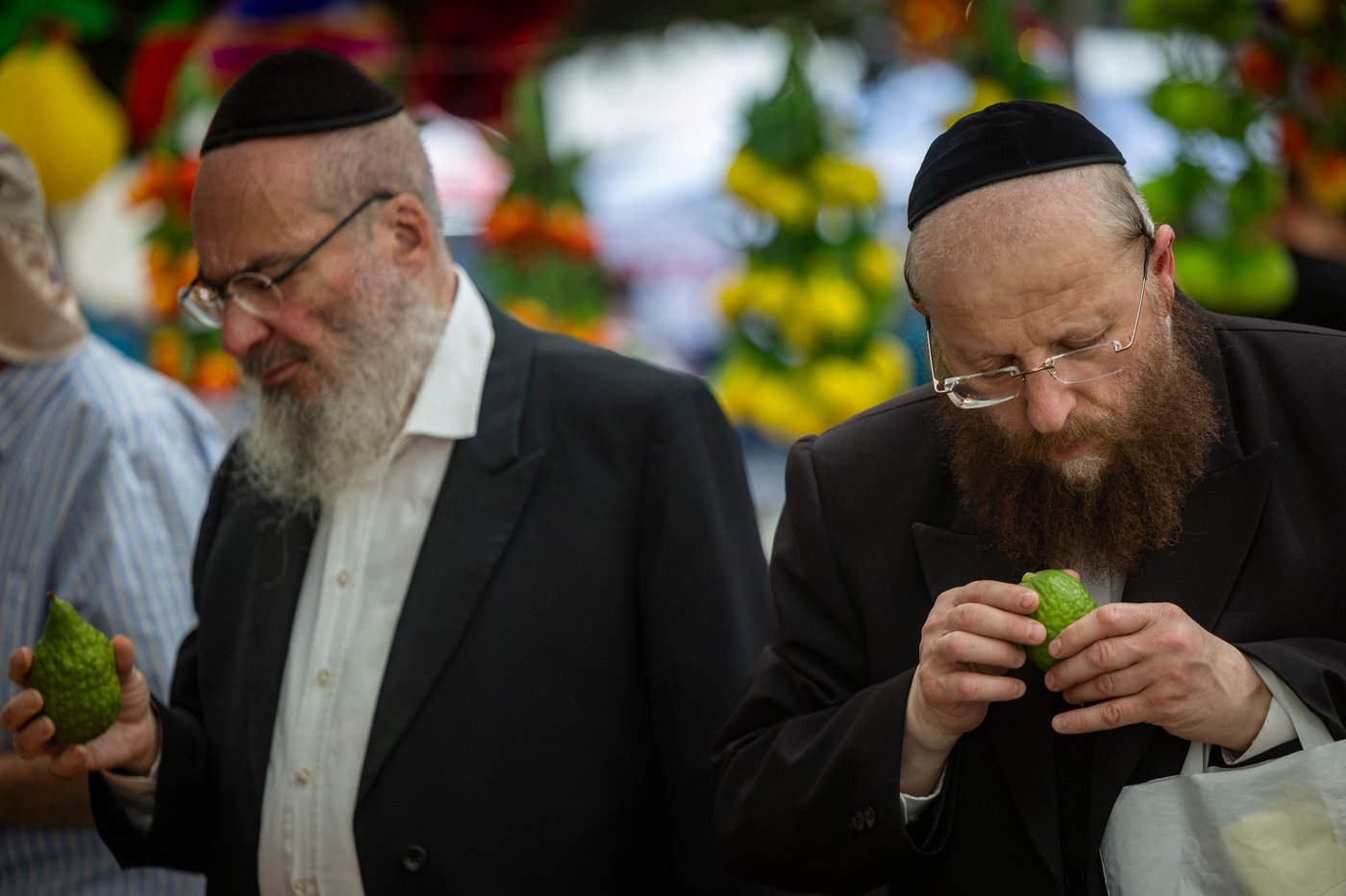 דוכני ארבעת המינים בשוק מחנה יהודה בירושלים