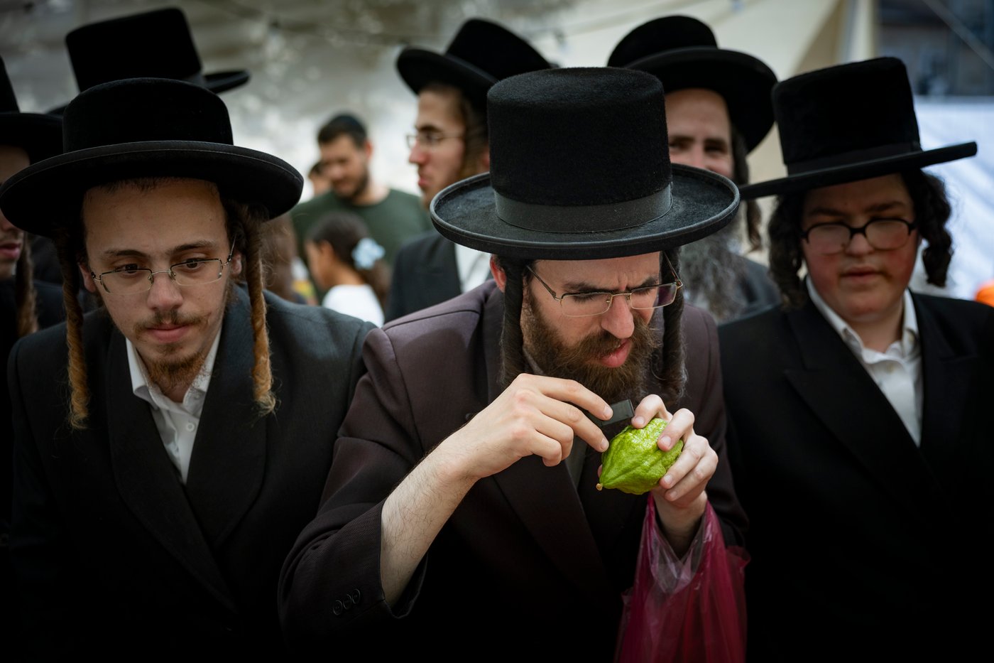 דוכני ארבעת המינים בשוק מחנה יהודה בירושלים