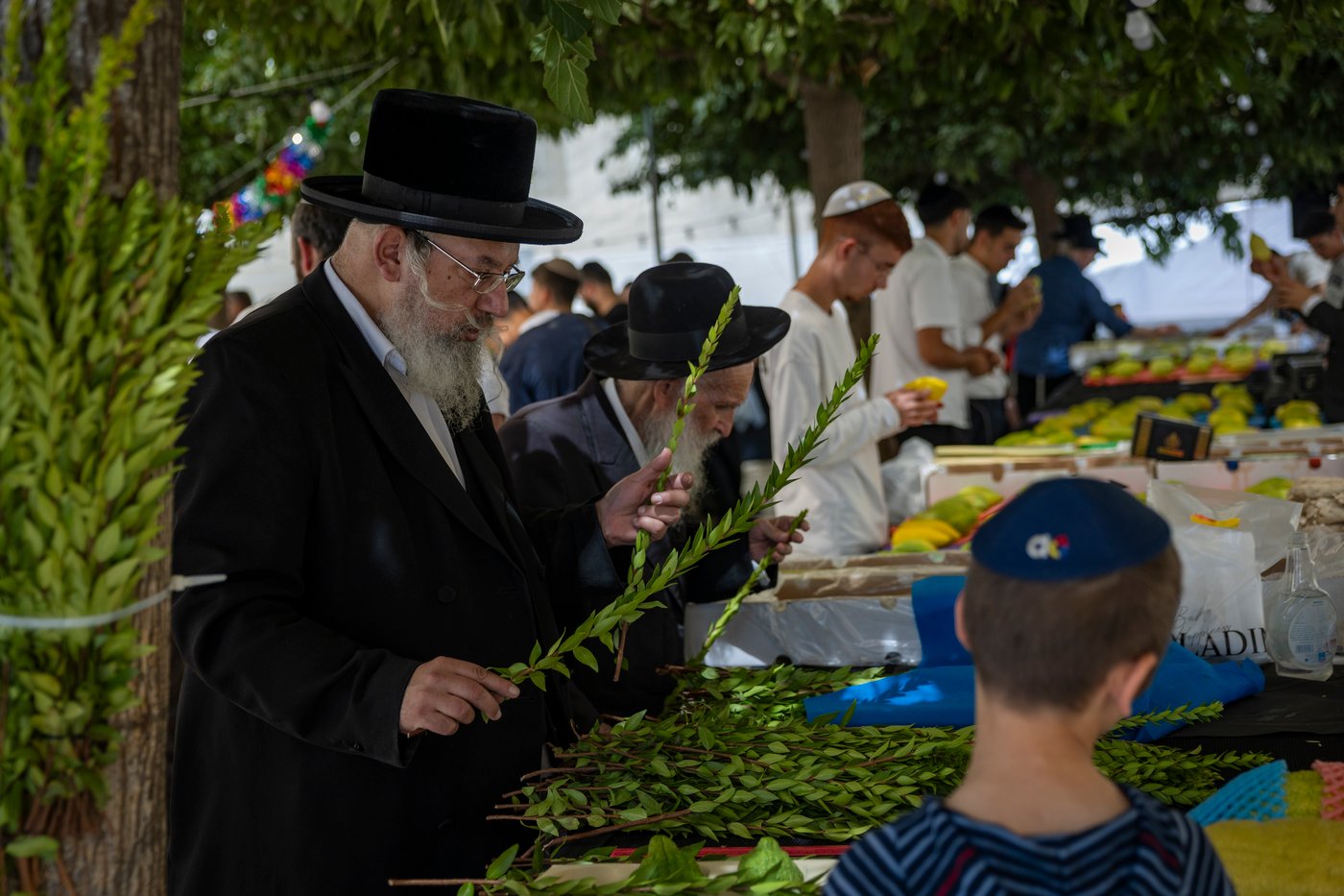 דוכני ארבעת המינים בשוק מחנה יהודה בירושלים