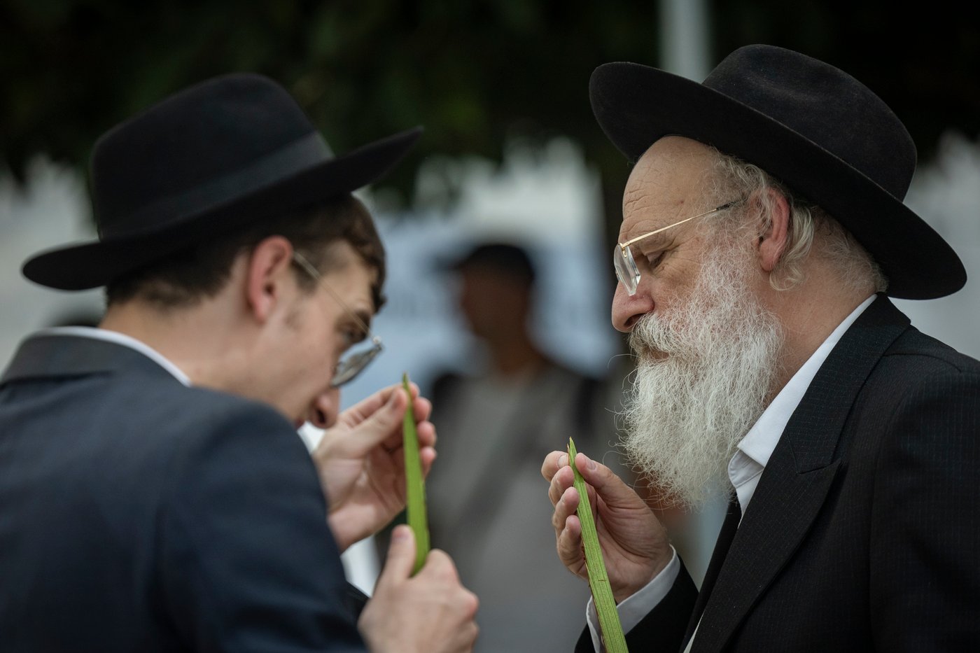 דוכני ארבעת המינים בשוק מחנה יהודה בירושלים