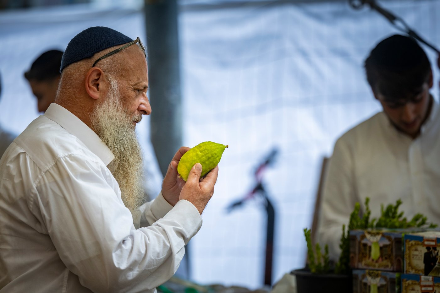 דוכני ארבעת המינים בשוק מחנה יהודה בירושלים