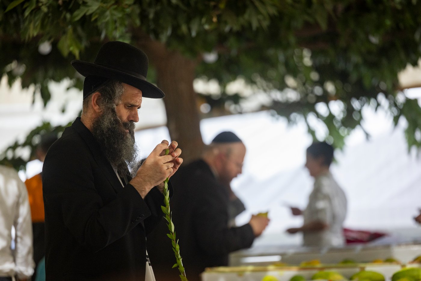 דוכני ארבעת המינים בשוק מחנה יהודה בירושלים