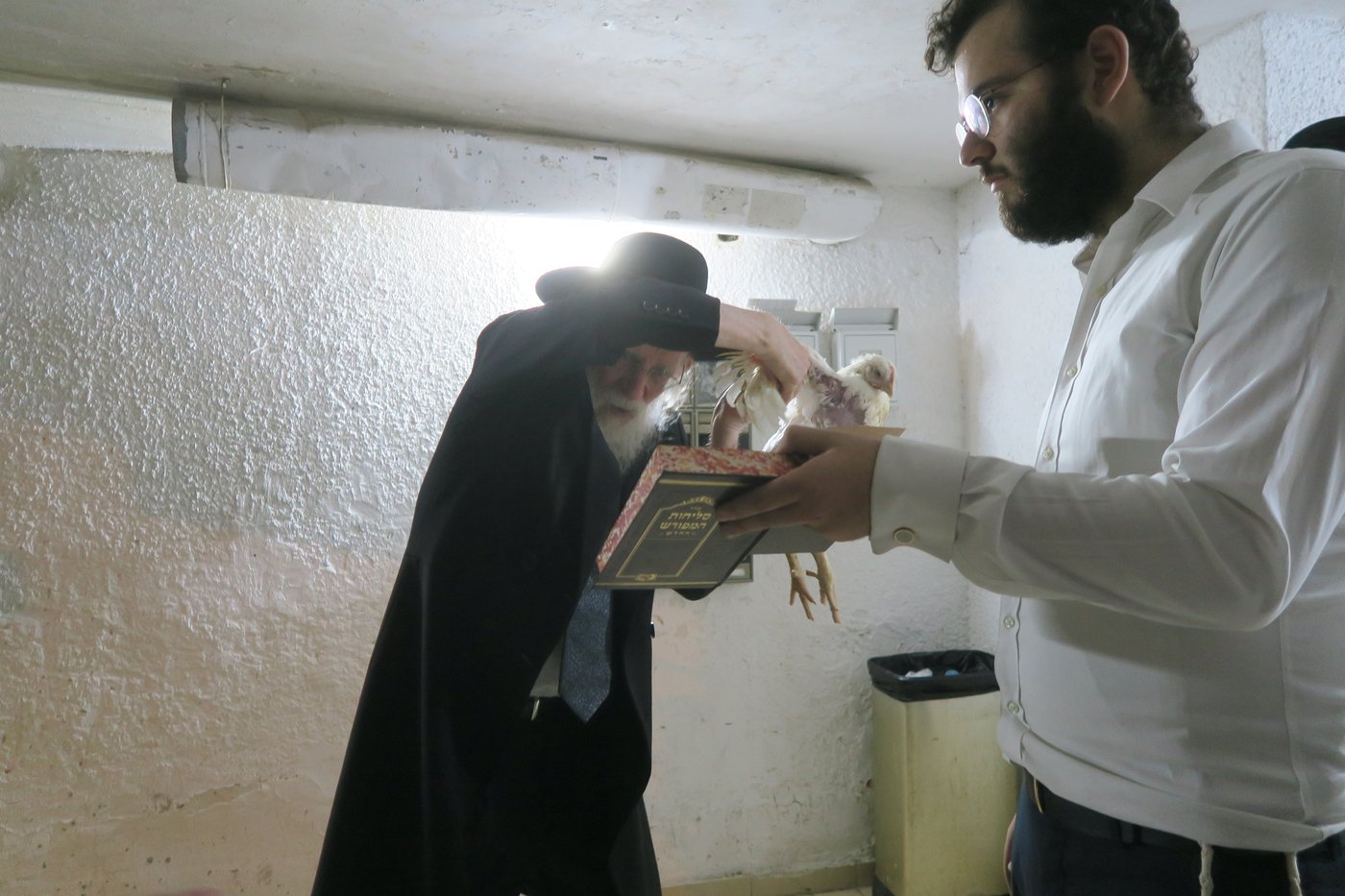 הגאון רבי שמעון גלאי שליט"א במנהג כפרות | צילום: מ. אדלר