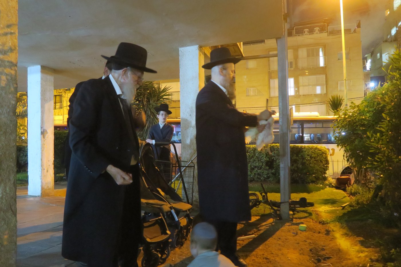 הגאון רבי שמעון גלאי שליט"א במנהג כפרות | צילום: מ. אדלר