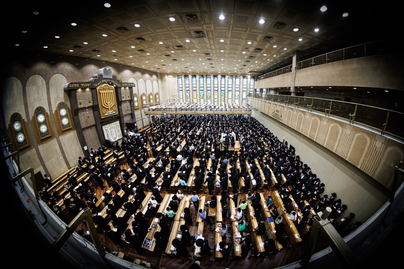 האדמו"ר מבאבוב שליט"א בקריאת הקורבנות | צילום: אחים לאנטשעווסקי