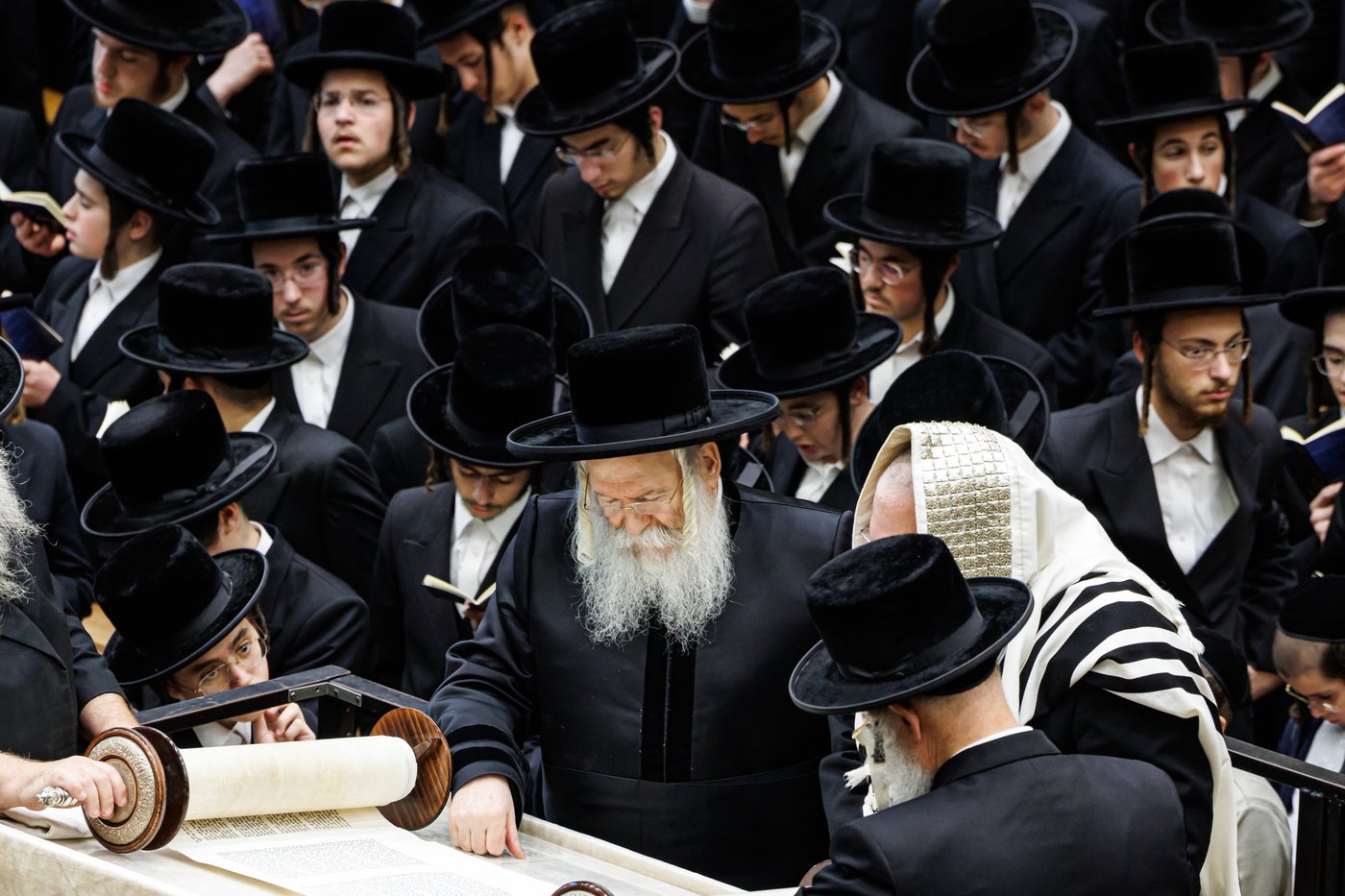 האדמו"ר מבאבוב שליט"א בקריאת הקורבנות | צילום: אחים לאנטשעווסקי