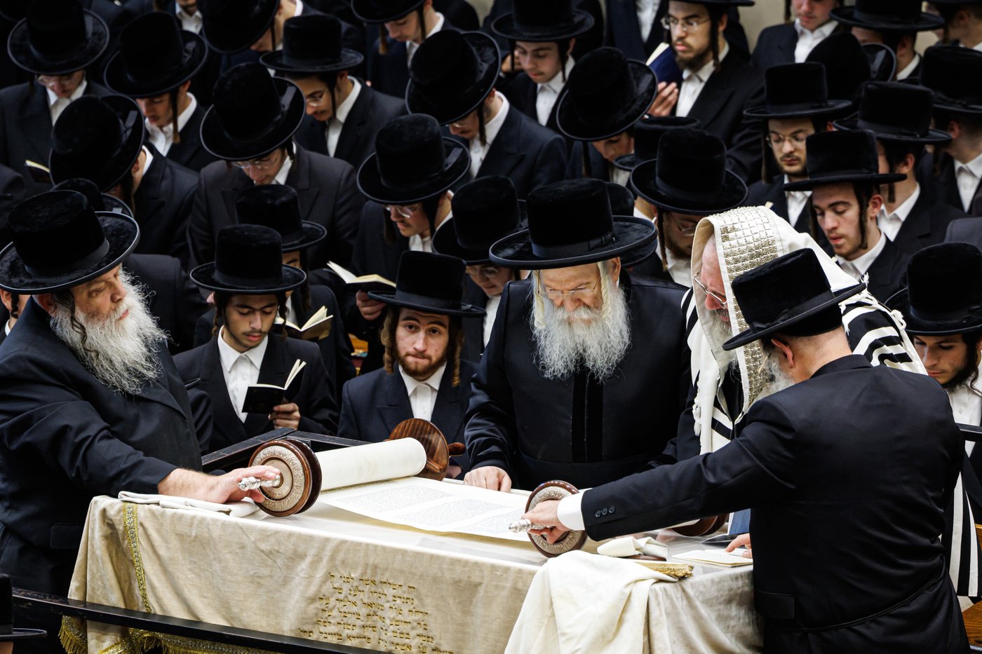 האדמו"ר מבאבוב שליט"א בקריאת הקורבנות | צילום: אחים לאנטשעווסקי