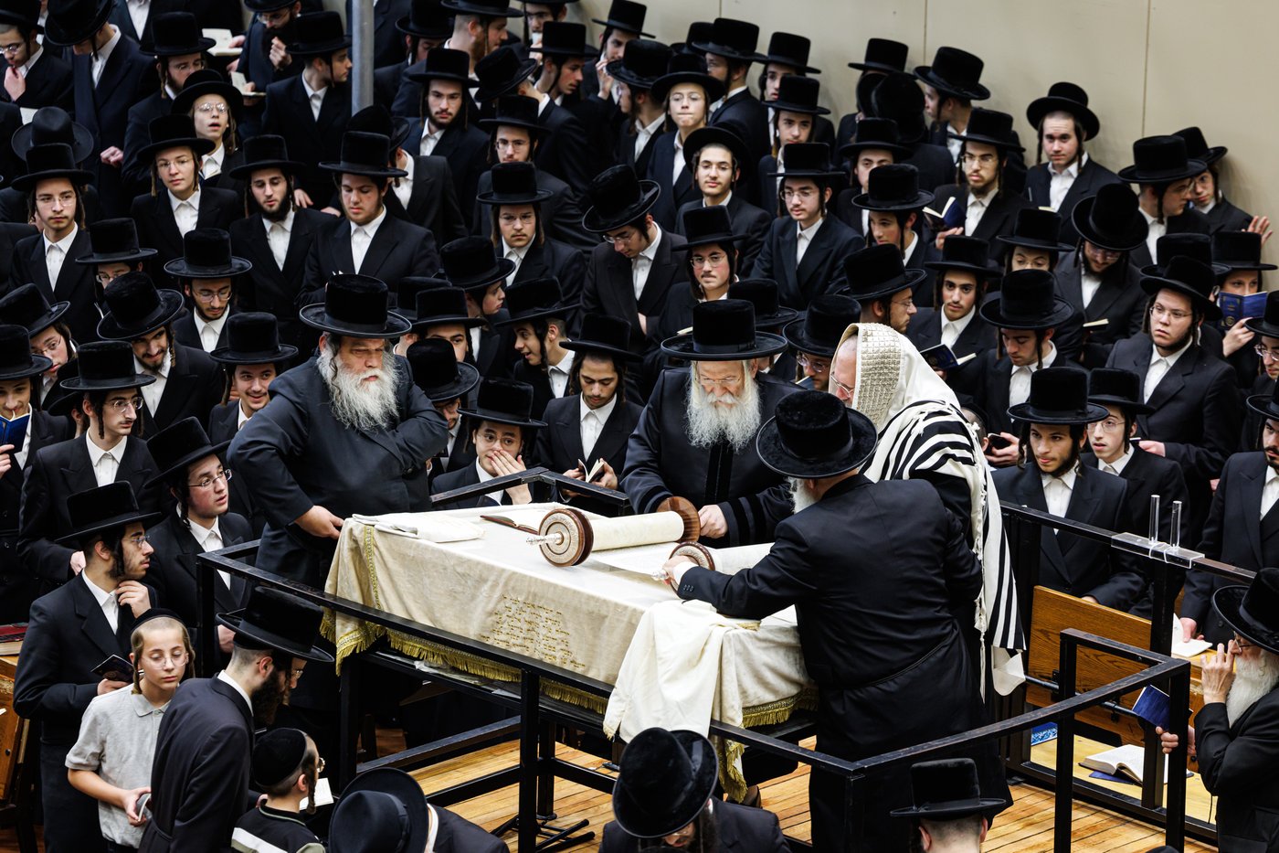 האדמו"ר מבאבוב שליט"א בקריאת הקורבנות | צילום: אחים לאנטשעווסקי