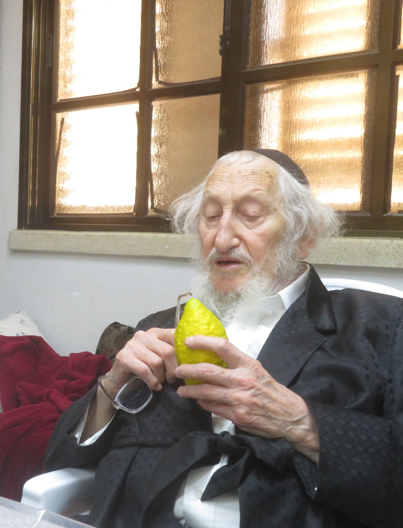 ערב סוכות במעונו של הגאון רבי אריה לוי שליט"א | צילום: באדיבות המצלם