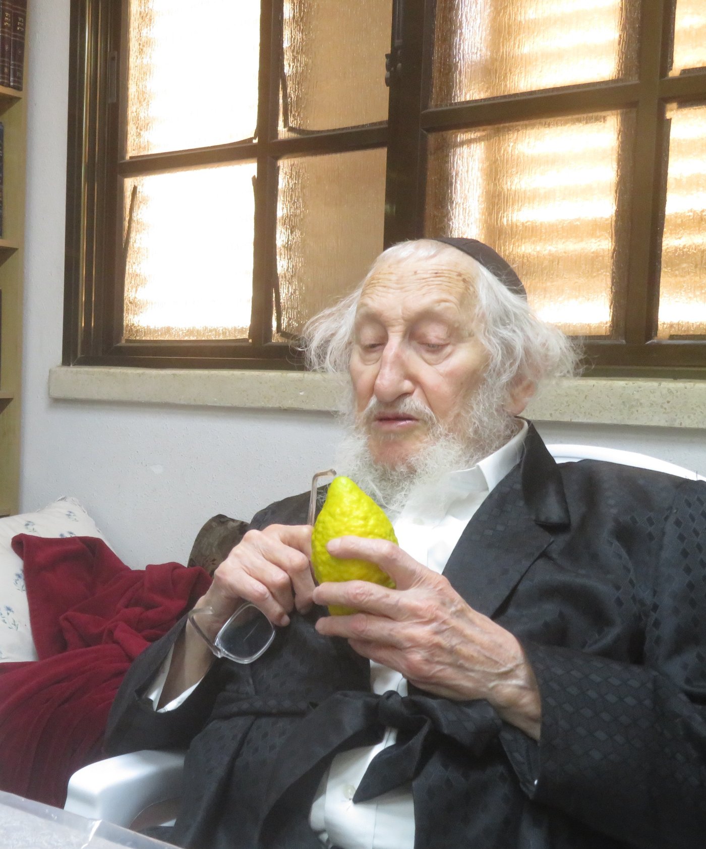 ערב סוכות במעונו של הגאון רבי אריה לוי שליט"א | צילום: באדיבות המצלם