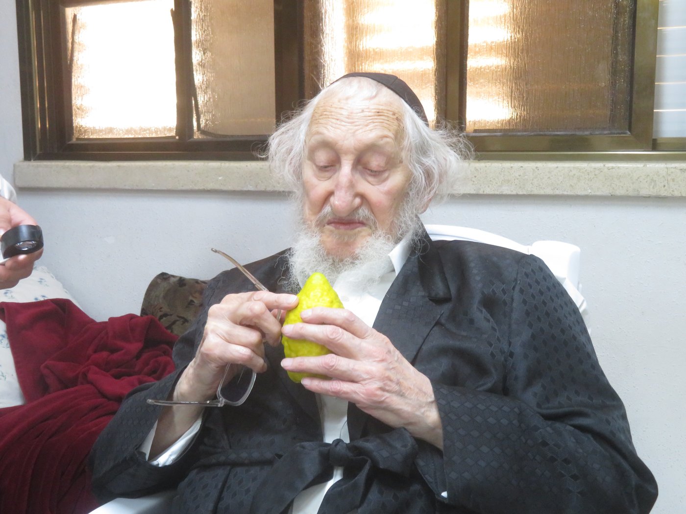 ערב סוכות במעונו של הגאון רבי אריה לוי שליט"א | צילום: באדיבות המצלם