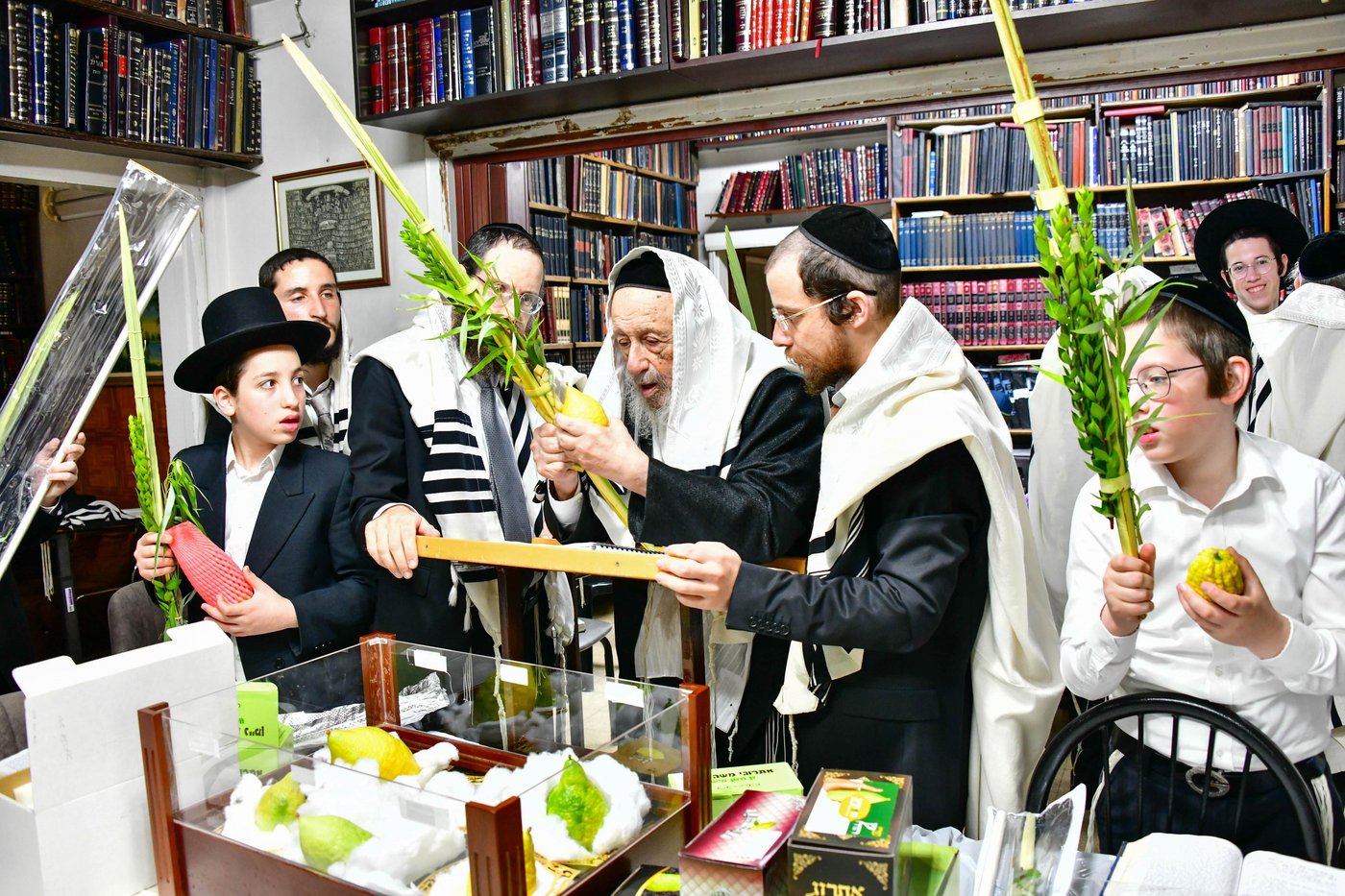 הגאון רבי ברוך דב פוברסקי והגאון רבי חיים פרץ ברמן בנטילת לולב | צילום: שוקי לרר