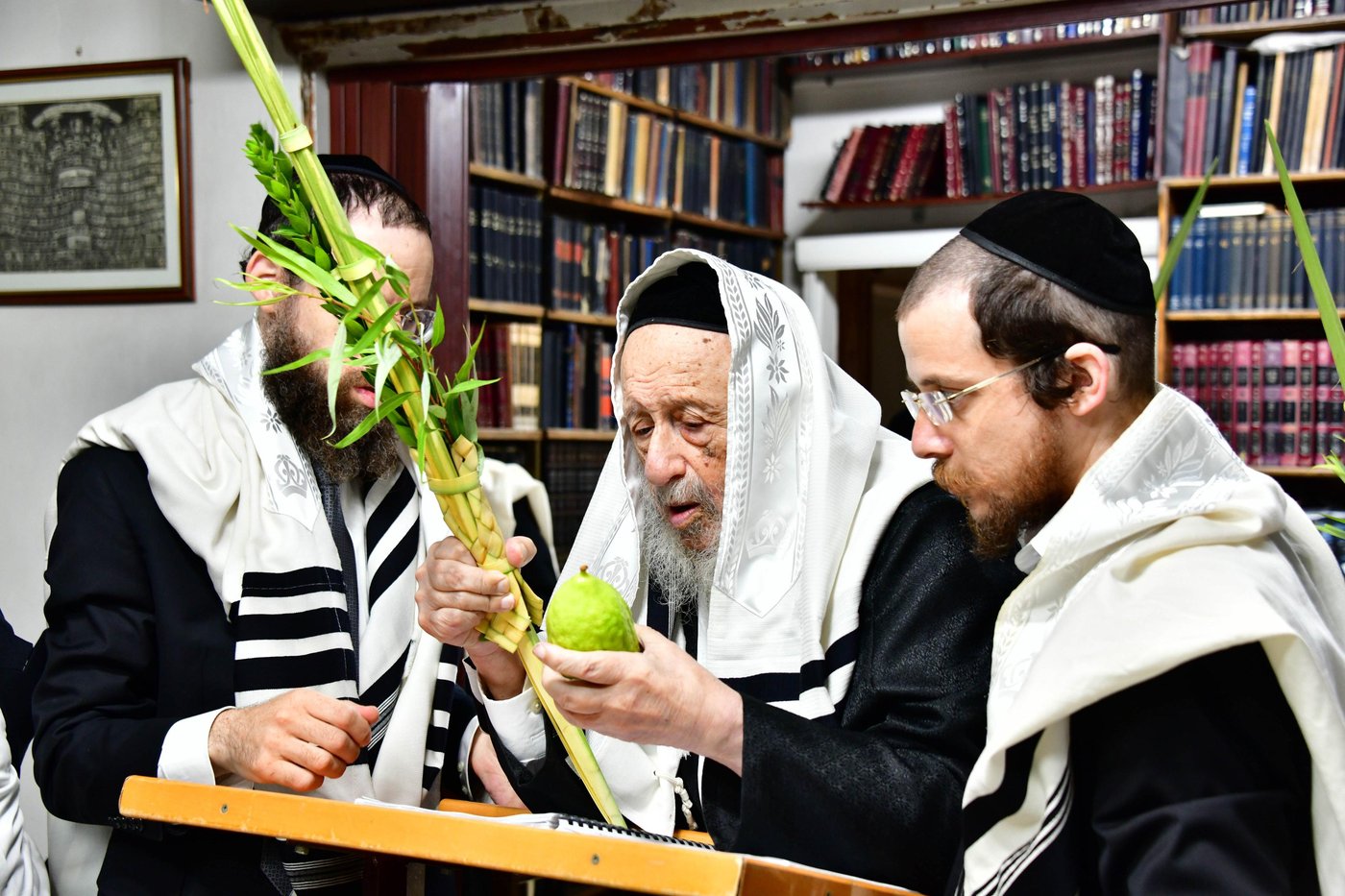 הגאון רבי ברוך דב פוברסקי והגאון רבי חיים פרץ ברמן בנטילת לולב | צילום: שוקי לרר