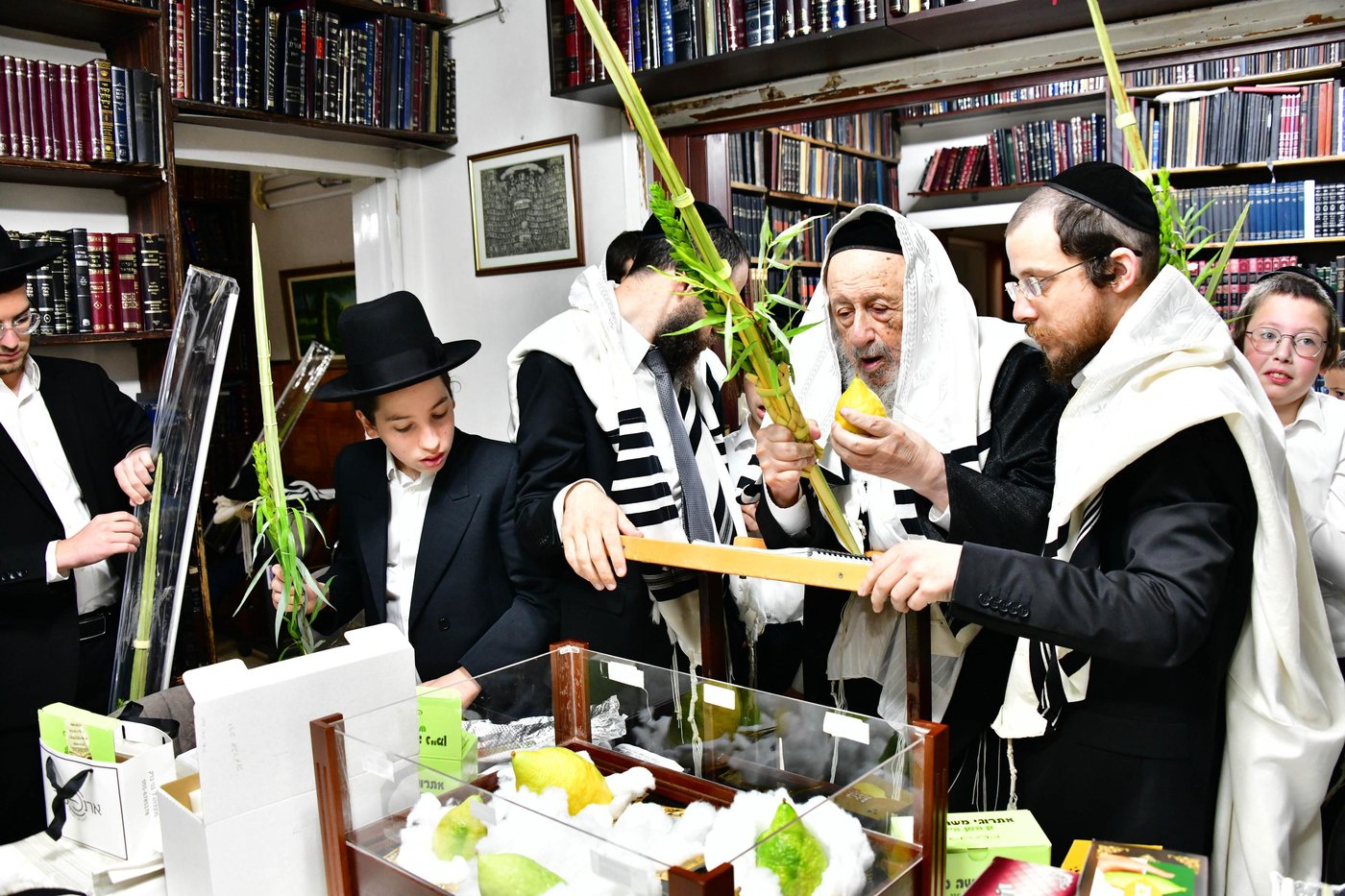 הגאון רבי ברוך דב פוברסקי והגאון רבי חיים פרץ ברמן בנטילת לולב | צילום: שוקי לרר