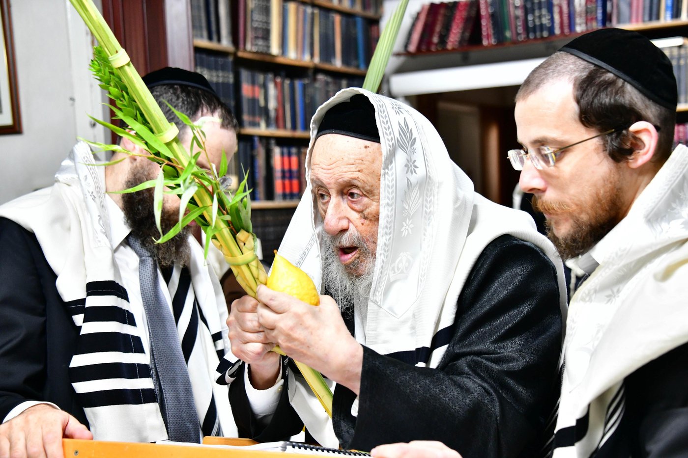 הגאון רבי ברוך דב פוברסקי והגאון רבי חיים פרץ ברמן בנטילת לולב | צילום: שוקי לרר