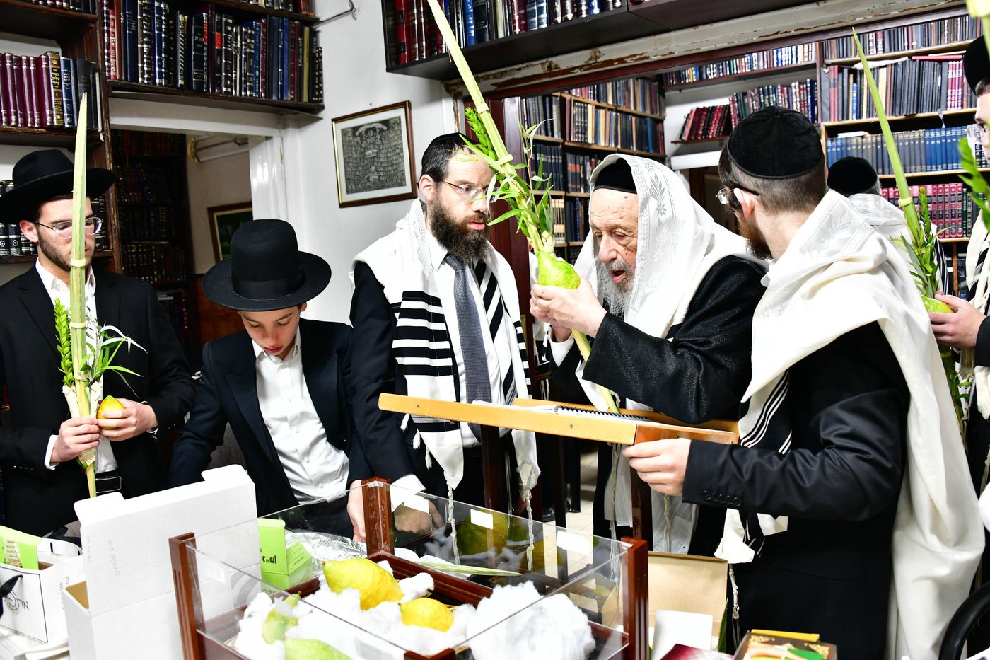 הגאון רבי ברוך דב פוברסקי והגאון רבי חיים פרץ ברמן בנטילת לולב | צילום: שוקי לרר