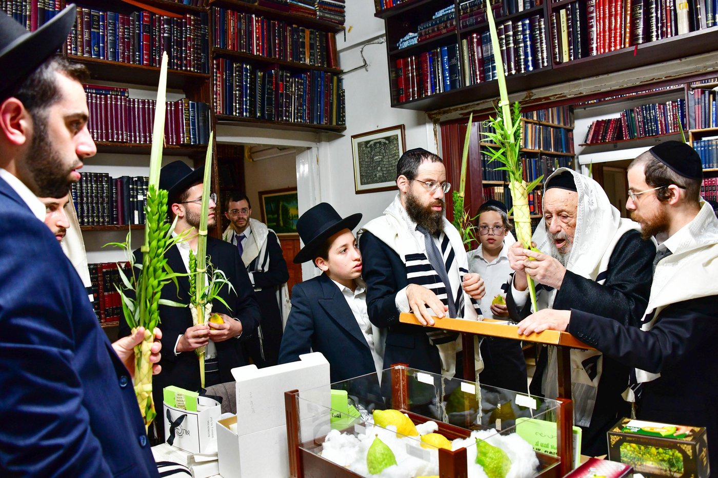 הגאון רבי ברוך דב פוברסקי והגאון רבי חיים פרץ ברמן בנטילת לולב | צילום: שוקי לרר