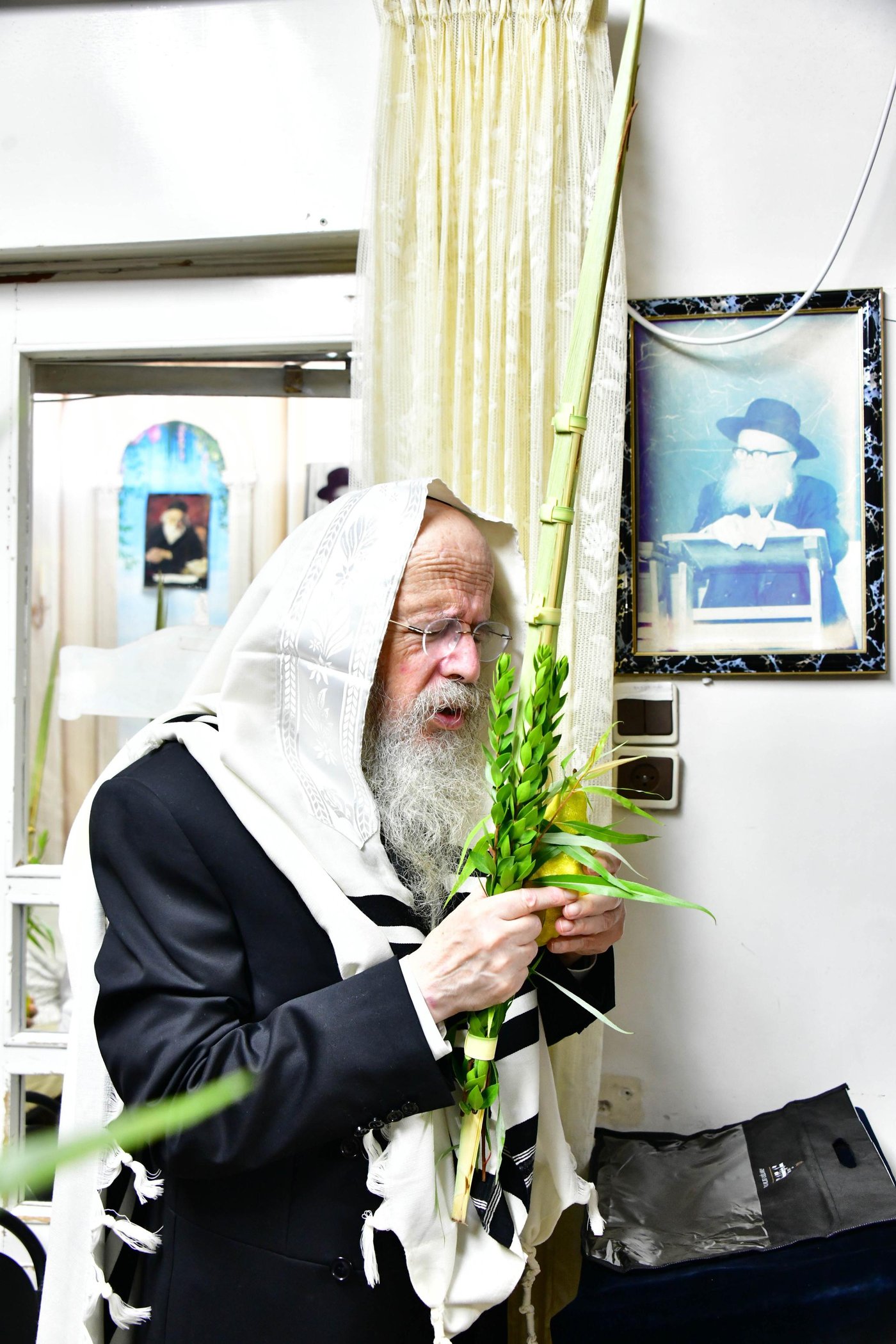 הגאון רבי ברוך דב פוברסקי והגאון רבי חיים פרץ ברמן בנטילת לולב | צילום: שוקי לרר