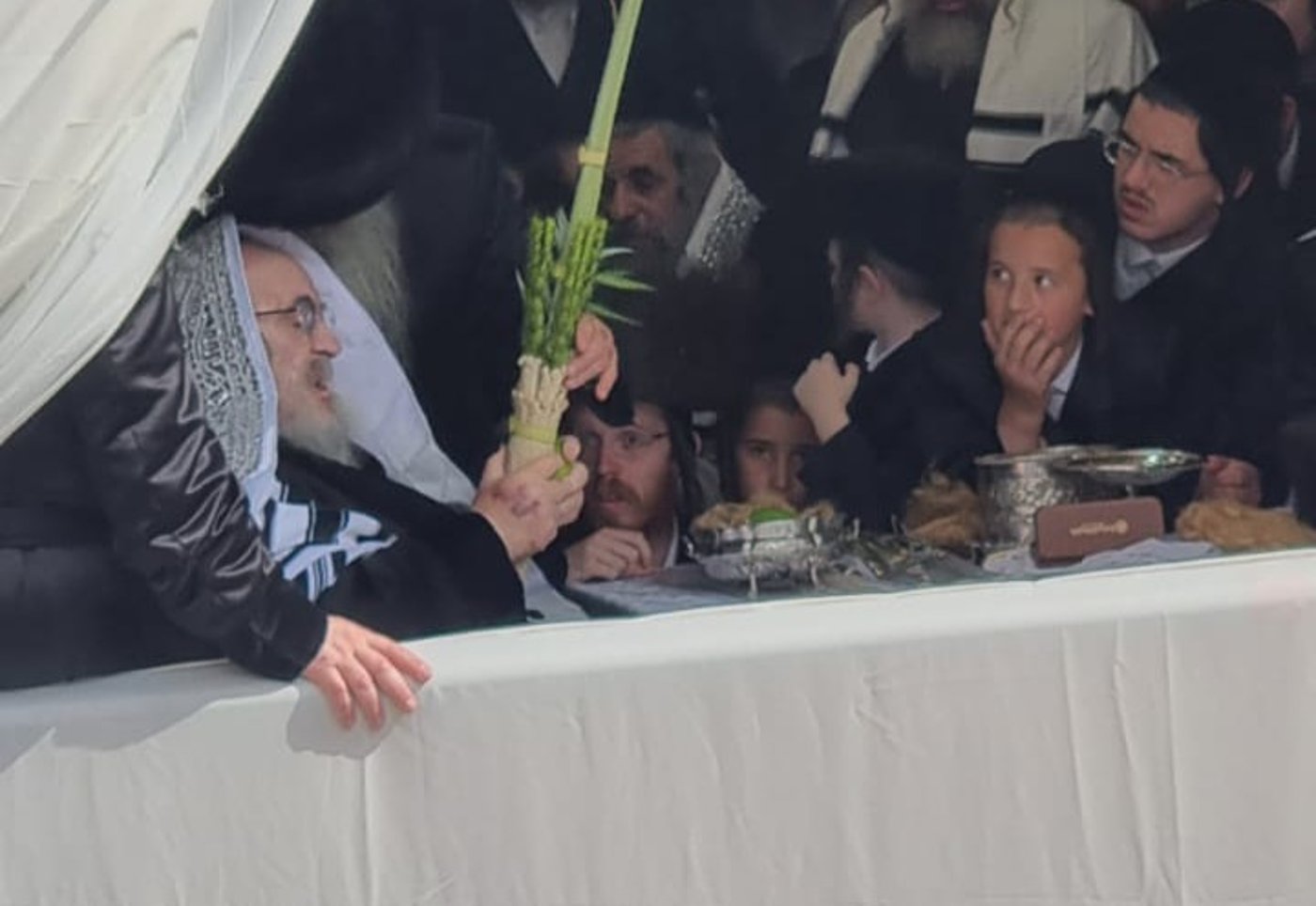 האדמו"ר מויז'ניץ שליט"א בנענועי ארבעת המינים בחול המועד סוכות
