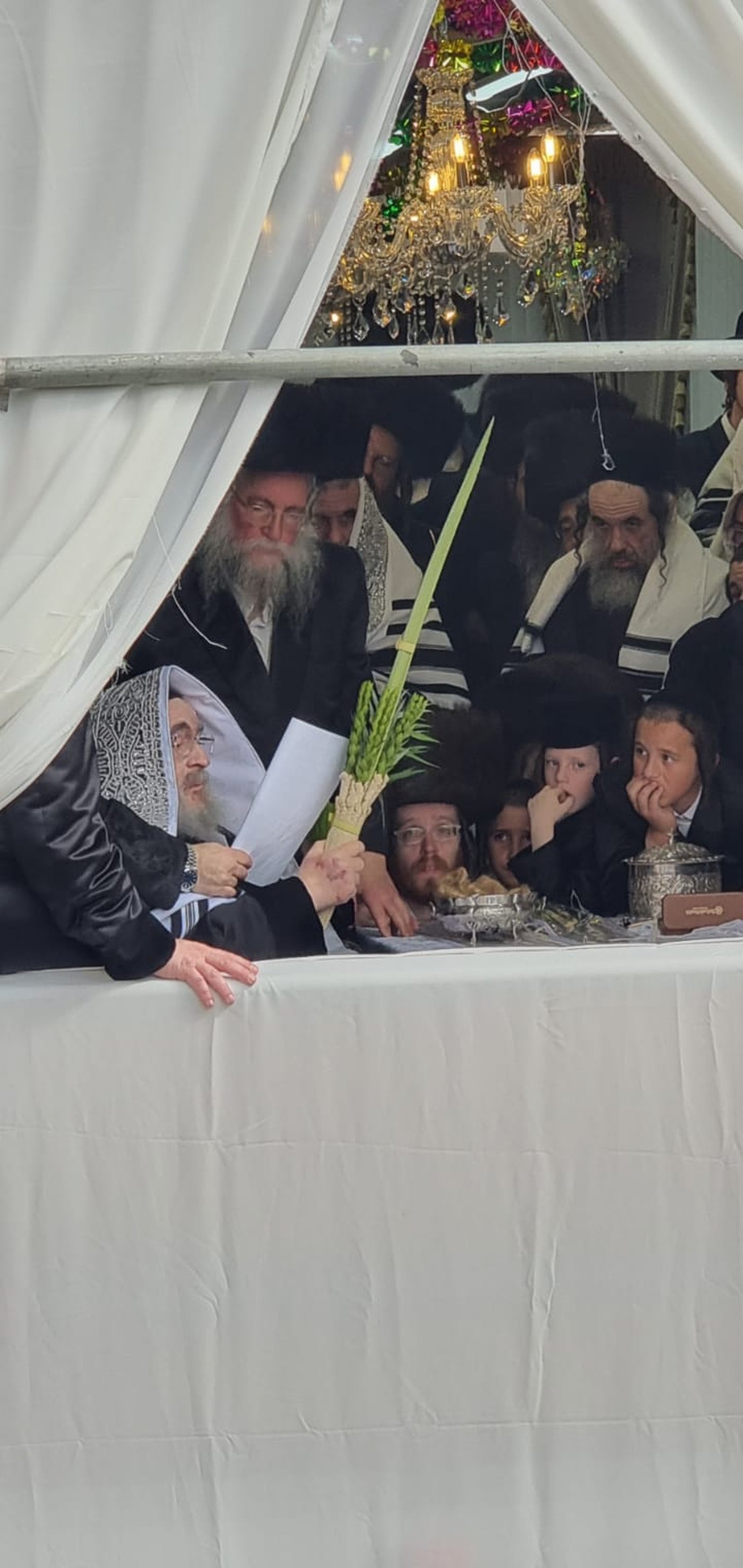 האדמו"ר מויז'ניץ שליט"א בנענועי ארבעת המינים בחול המועד סוכות