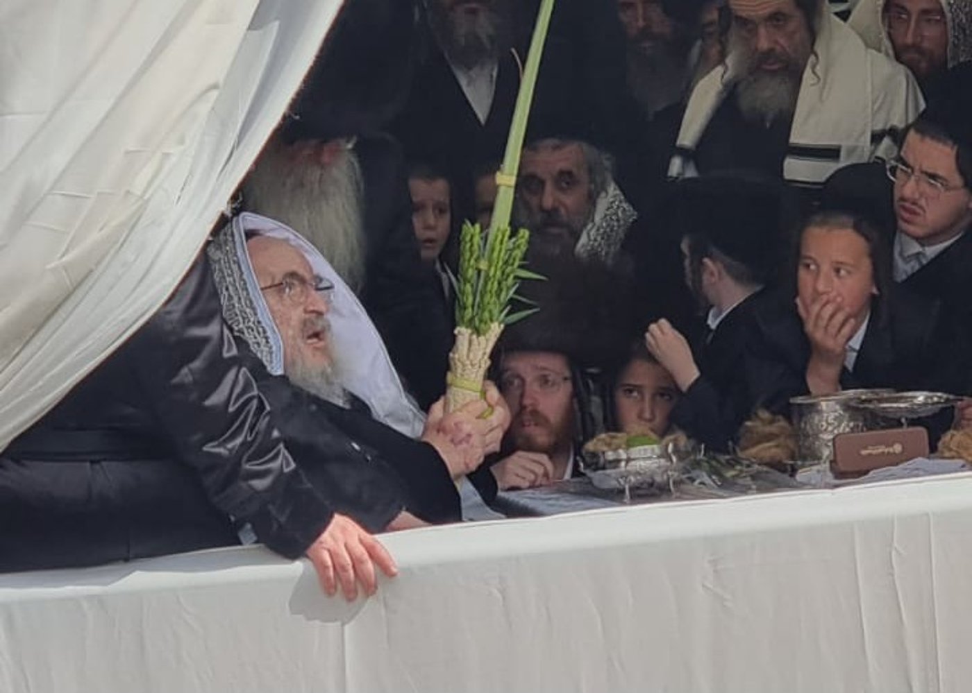 האדמו"ר מויז'ניץ שליט"א בנענועי ארבעת המינים בחול המועד סוכות