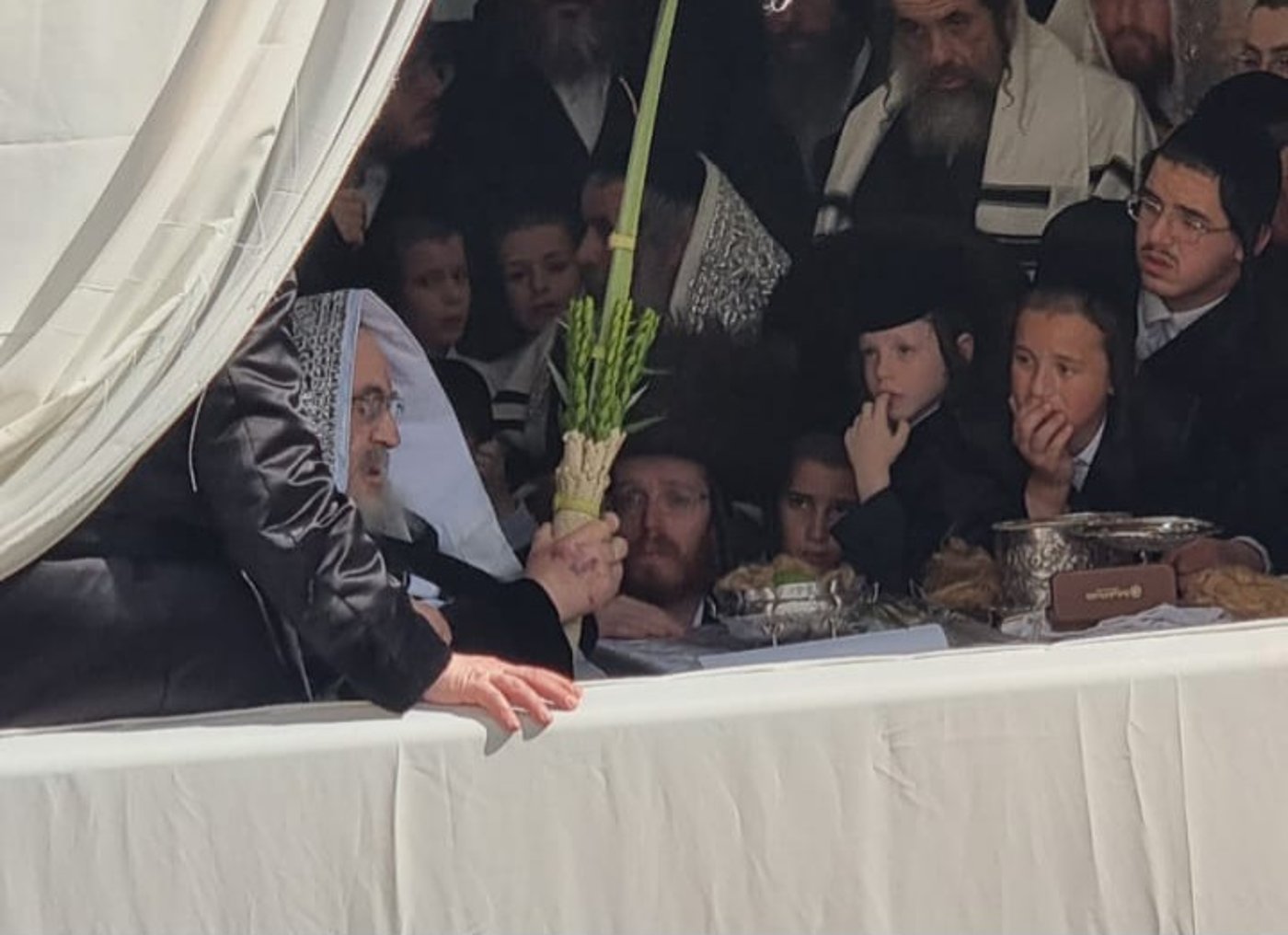 האדמו"ר מויז'ניץ שליט"א בנענועי ארבעת המינים בחול המועד סוכות