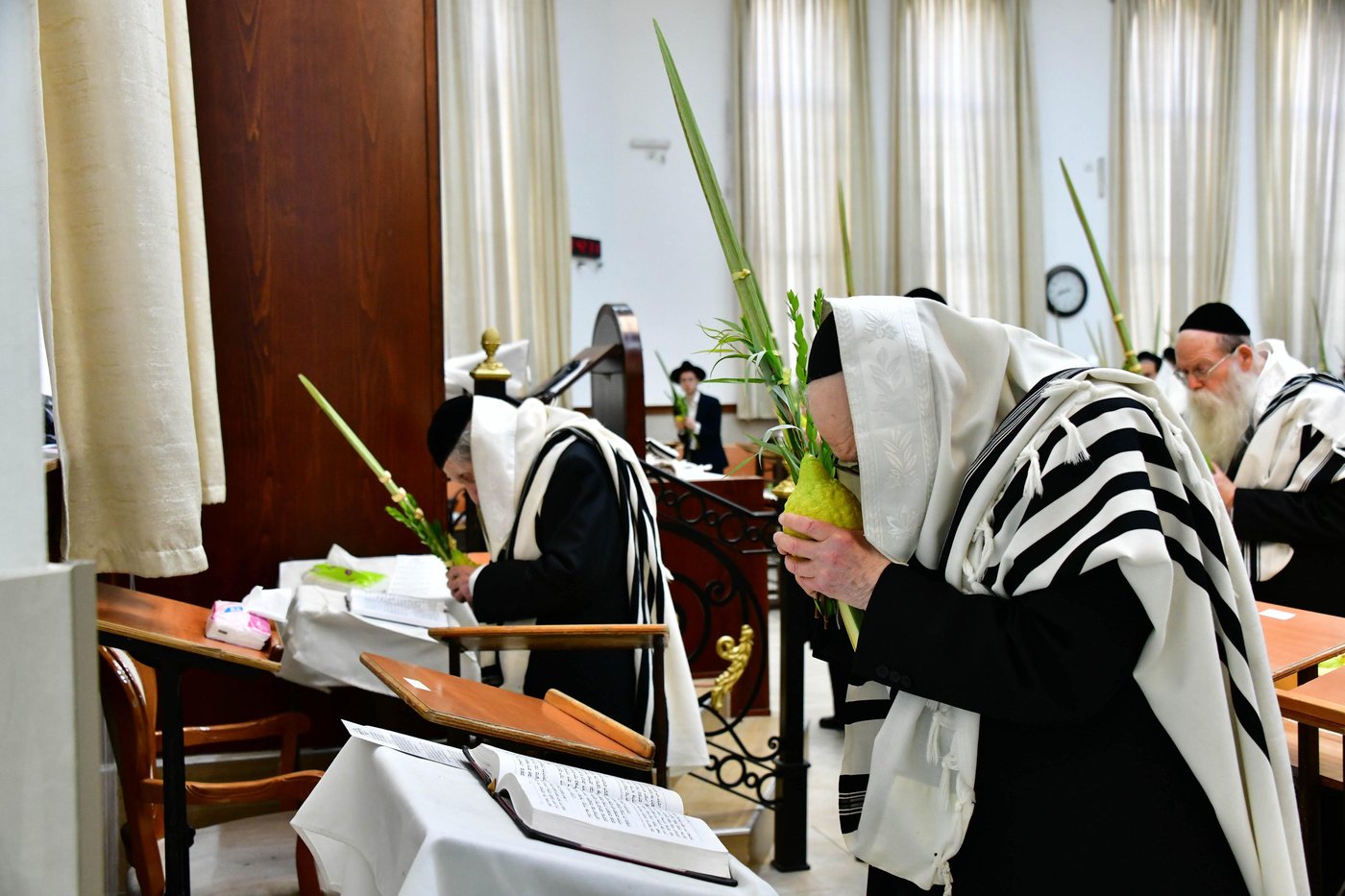הגאון רבי דב לנדו שליט"א והגאון רבי משה הלל הירש שליט"א בנטילת לולב | צילום: שוקי לרר