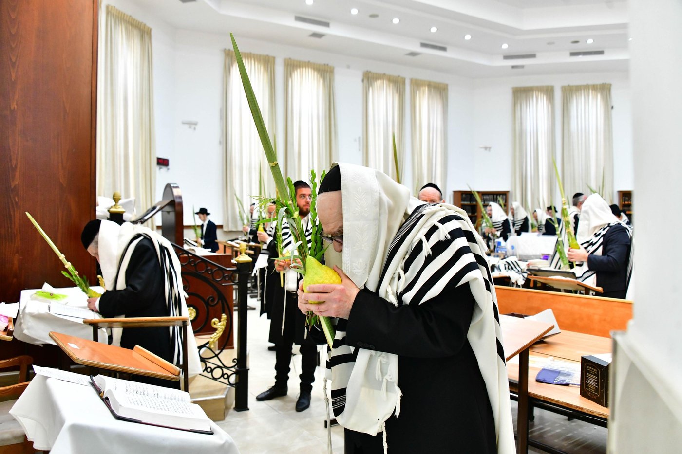 הגאון רבי דב לנדו והגאון רבי משה הלל הירש בנטילת לולב | צילום: שוקי לרר