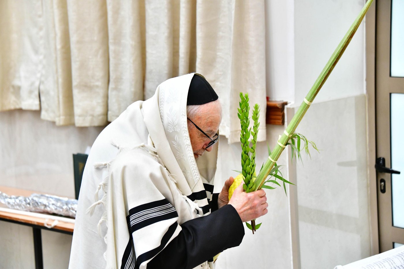 הגאון רבי דב לנדו  והגאון רבי משה הלל הירש  בנטילת לולב | צילום: שוקי לרר