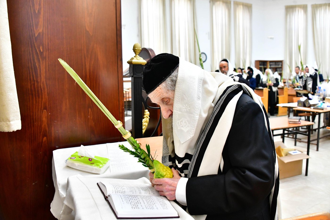 הגאון רבי דב לנדו  והגאון רבי משה הלל הירש  בנטילת לולב | צילום: שוקי לרר