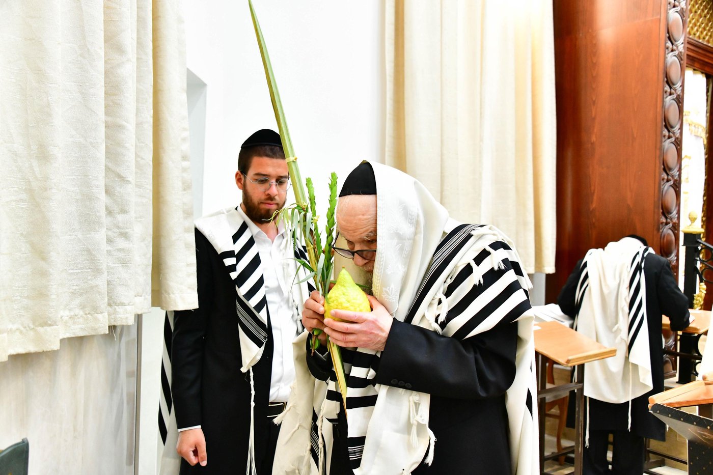 הגאון רבי דב לנדו  והגאון רבי משה הלל הירש  בנטילת לולב | צילום: שוקי לרר