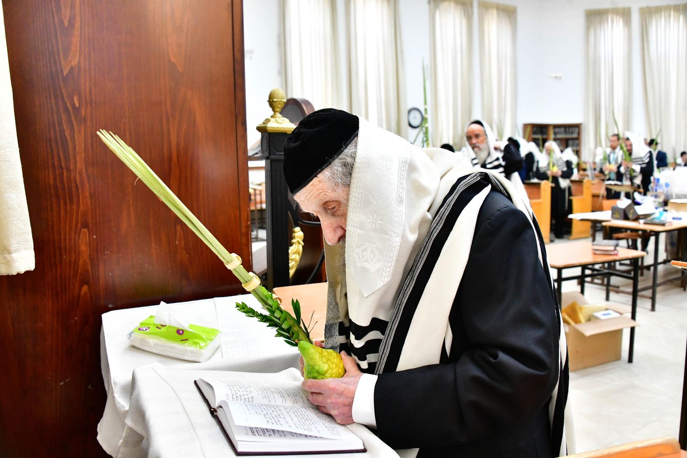 הגאון רבי דב לנדו  והגאון רבי משה הלל הירש  בנטילת לולב | צילום: שוקי לרר