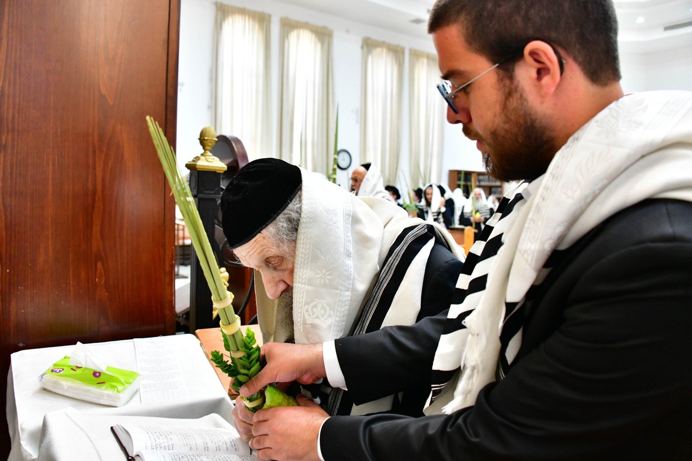 הגאון רבי דב לנדו והגאון רבי משה הלל הירש  בנטילת לולב | צילום: שוקי לרר