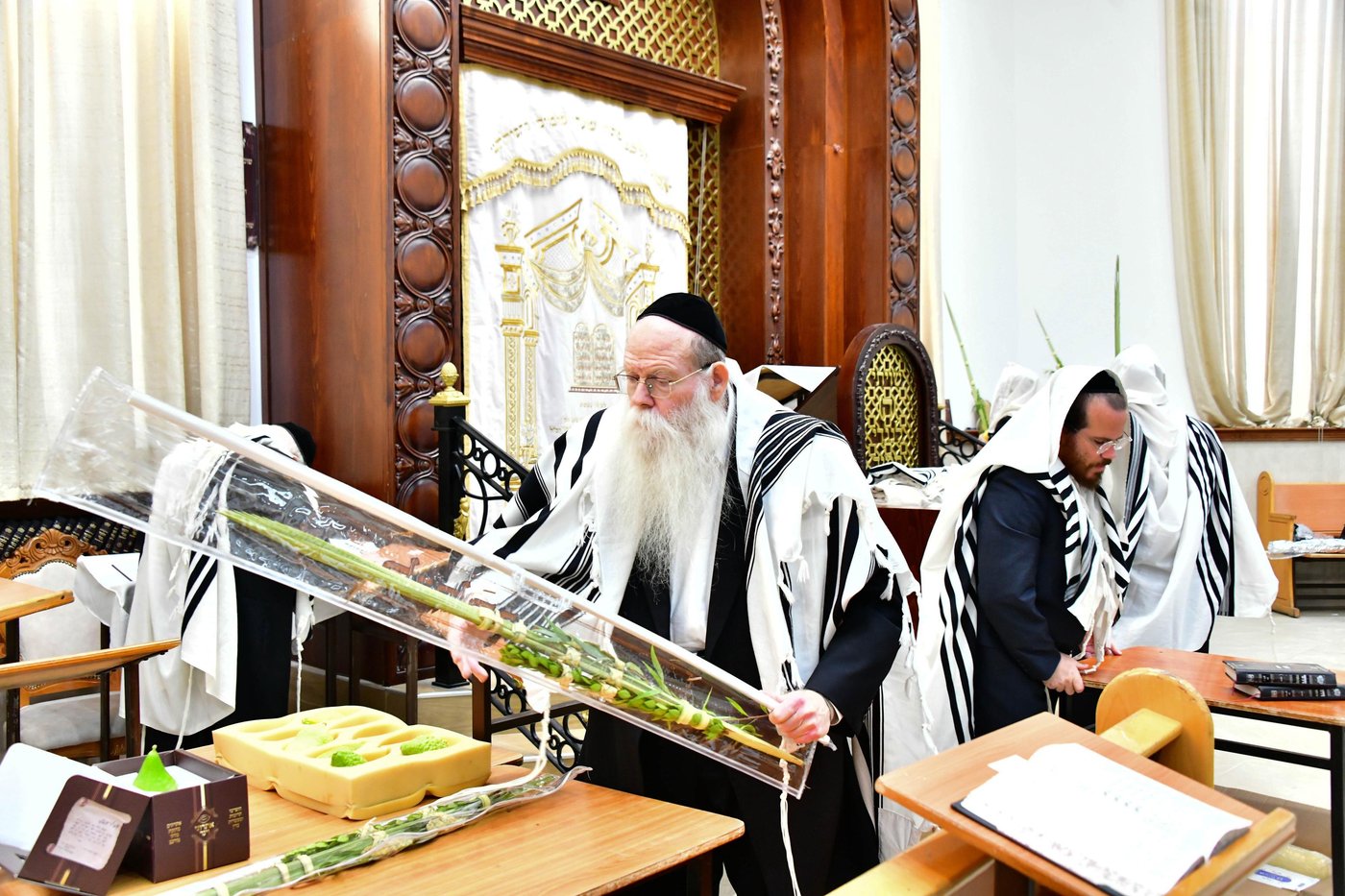 הגאון רבי דב לנדו  והגאון רבי משה הלל הירש  בנטילת לולב | צילום: שוקי לרר