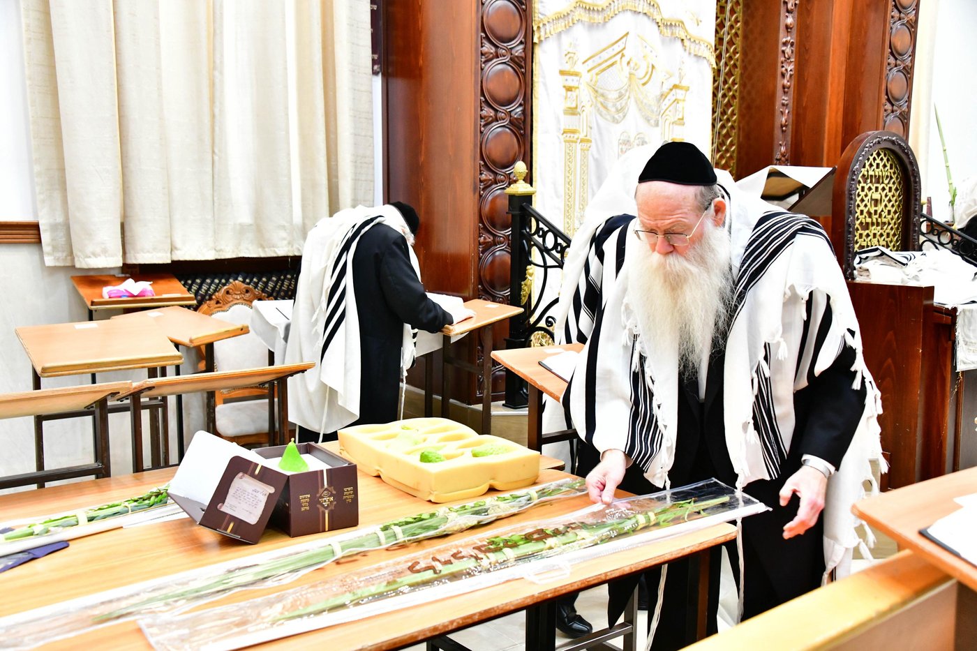 הגאון רבי דב לנדו  והגאון רבי משה הלל הירש בנטילת לולב | צילום: שוקי לרר