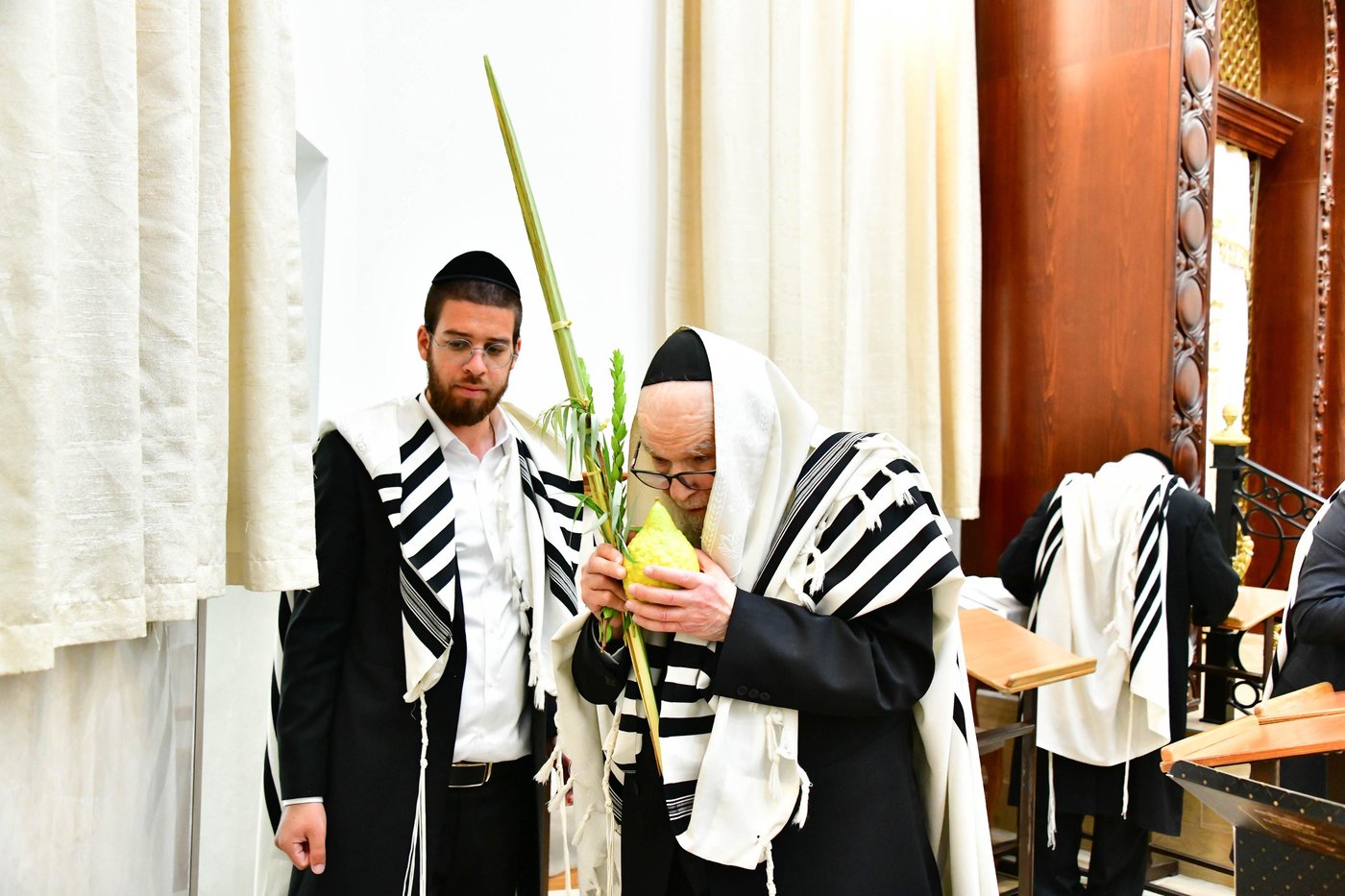 הגאון רבי דב לנדו  והגאון רבי משה הלל הירש  בנטילת לולב | צילום: שוקי לרר